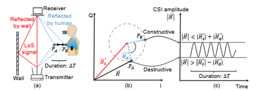 呼吸动作CSI波形